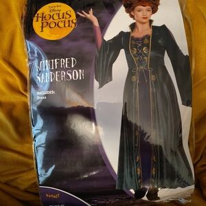 Disney Hocus Pocus Winifred Sanderson Kids Costume - Size XL (14/16)